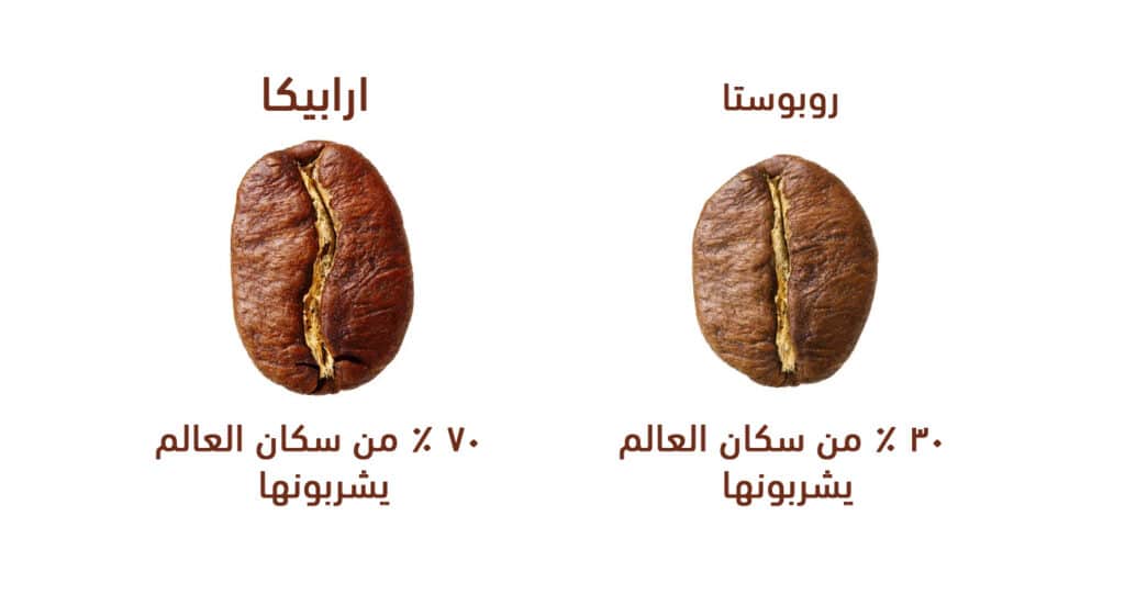 قهوة مختصة أنواع حبوب القهوة