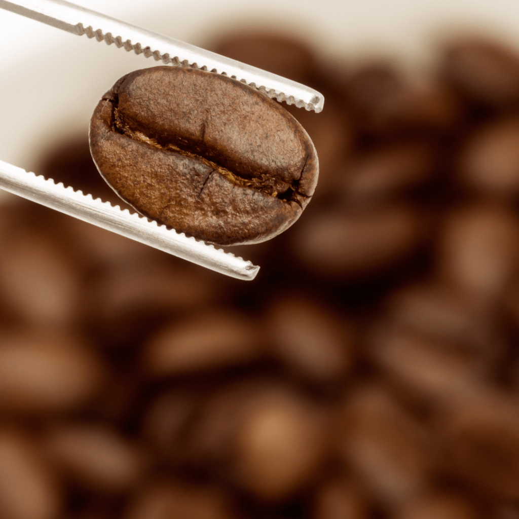 مصادر القهوة